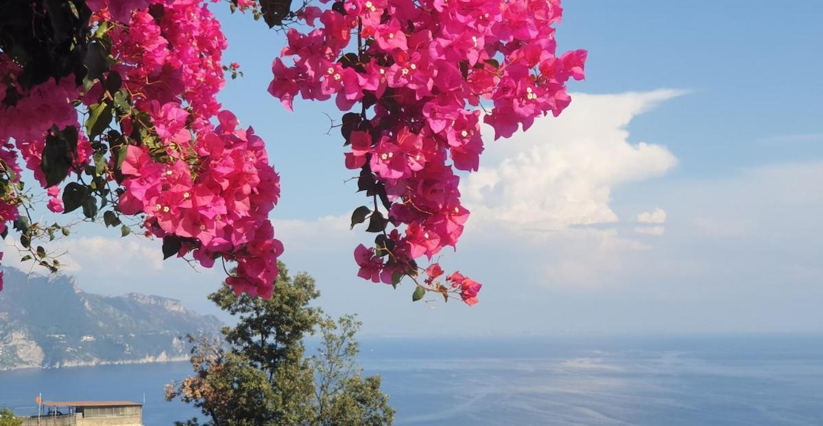 Villa Grace Amalfi Seaview المظهر الخارجي الصورة