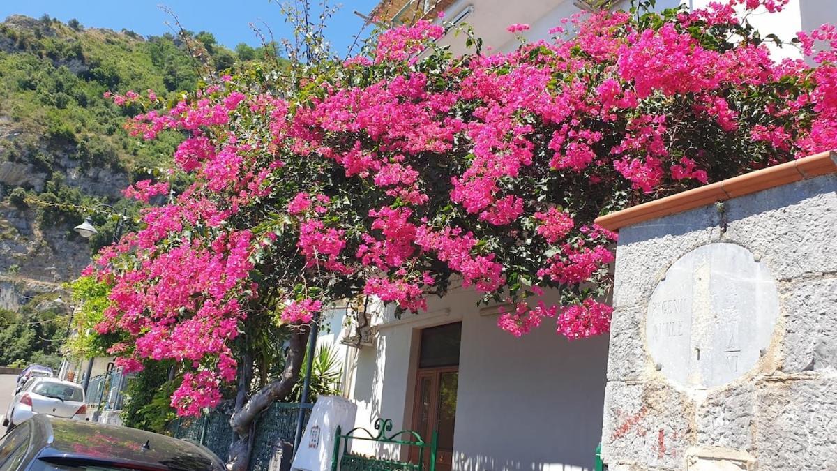Villa Grace Amalfi Seaview المظهر الخارجي الصورة