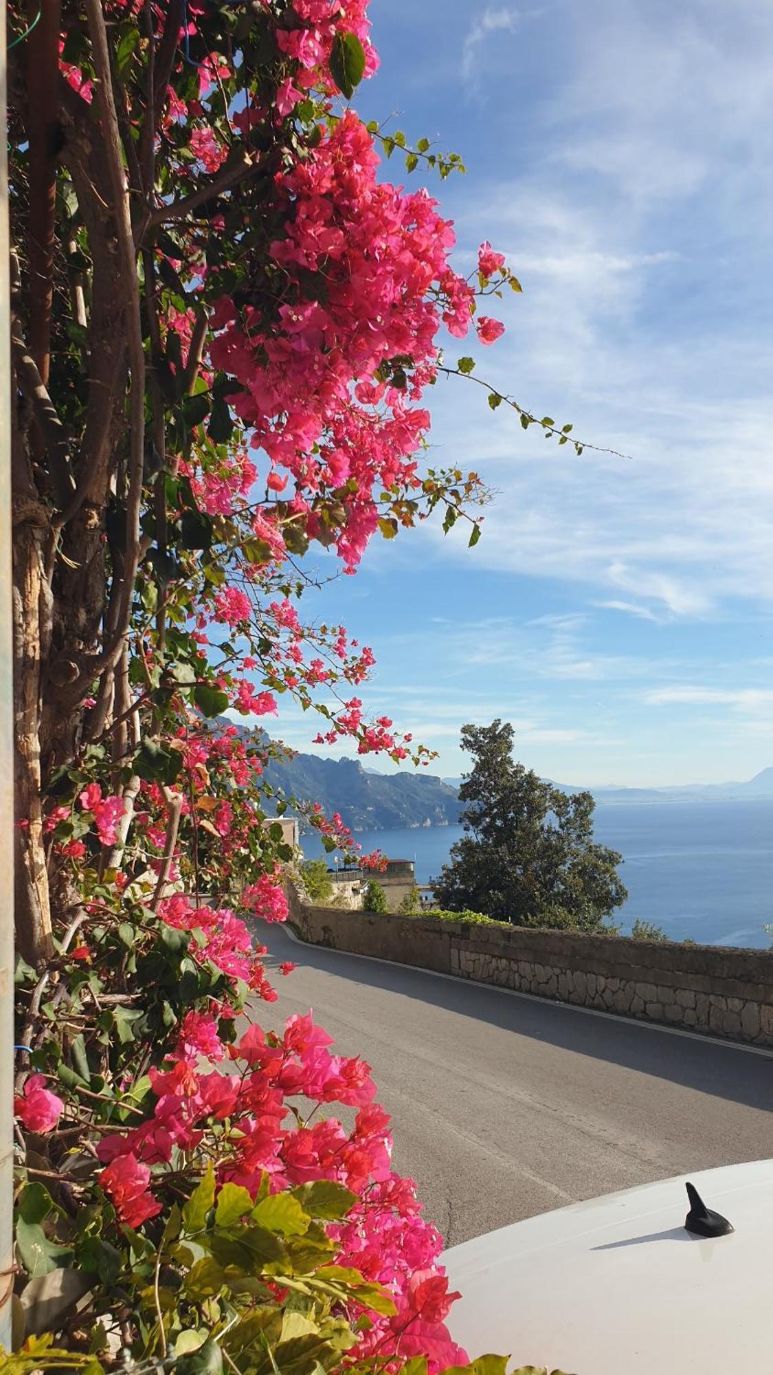 Villa Grace Amalfi Seaview المظهر الخارجي الصورة