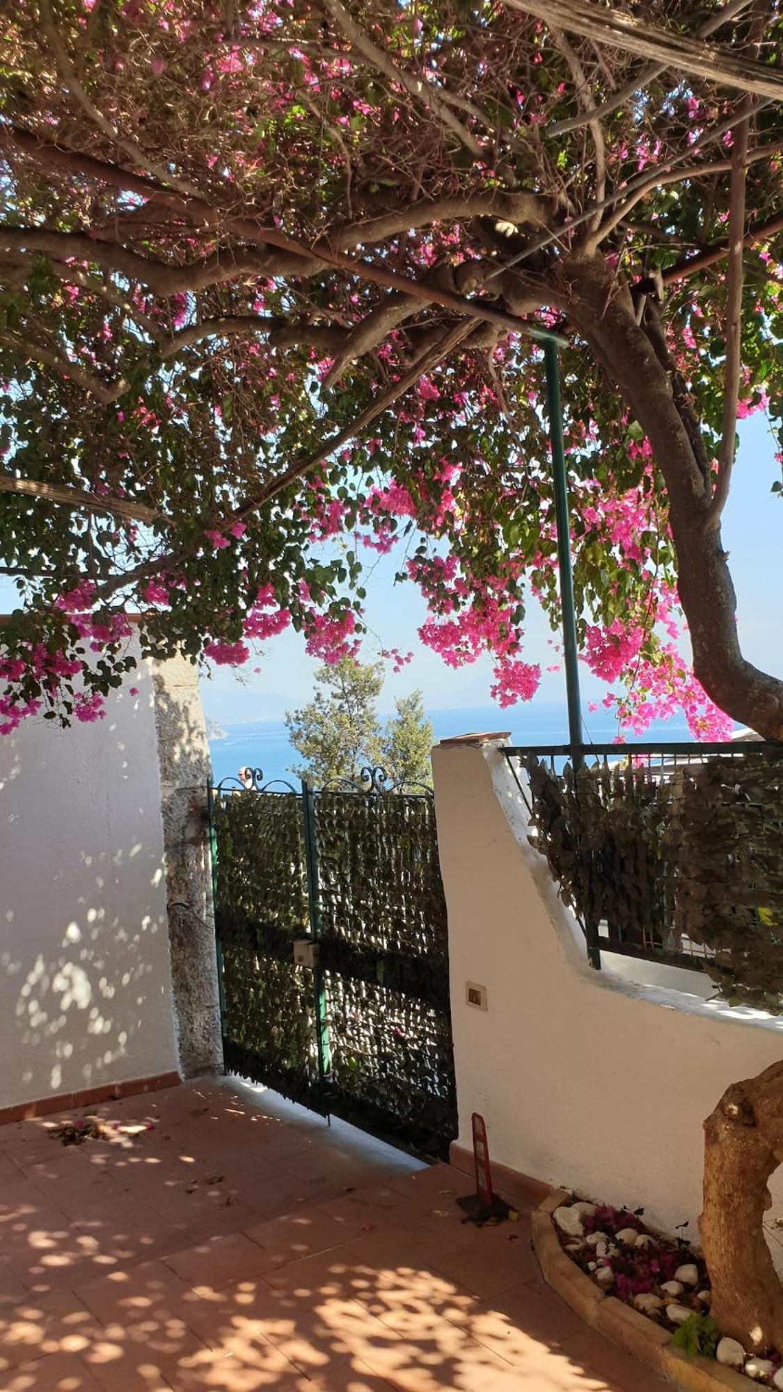 Villa Grace Amalfi Seaview المظهر الخارجي الصورة