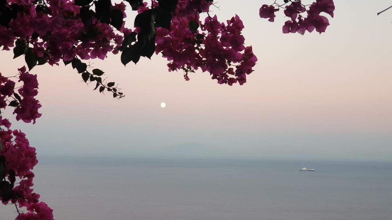 Villa Grace Amalfi Seaview المظهر الخارجي الصورة